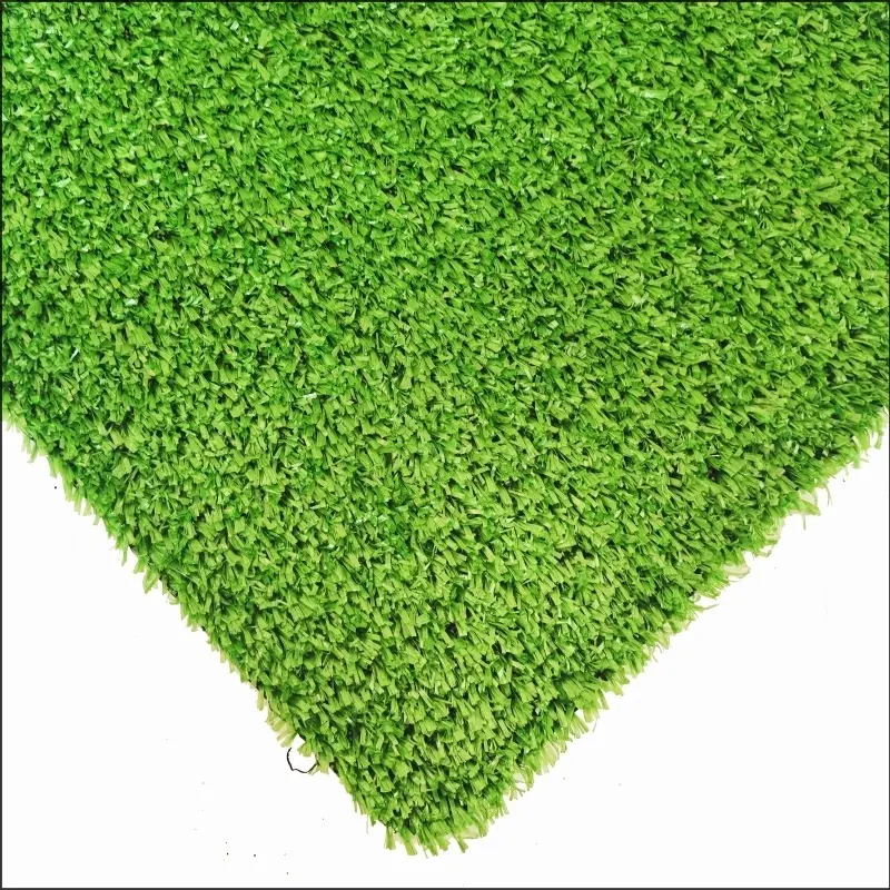 See More About Karpet Grass CG10