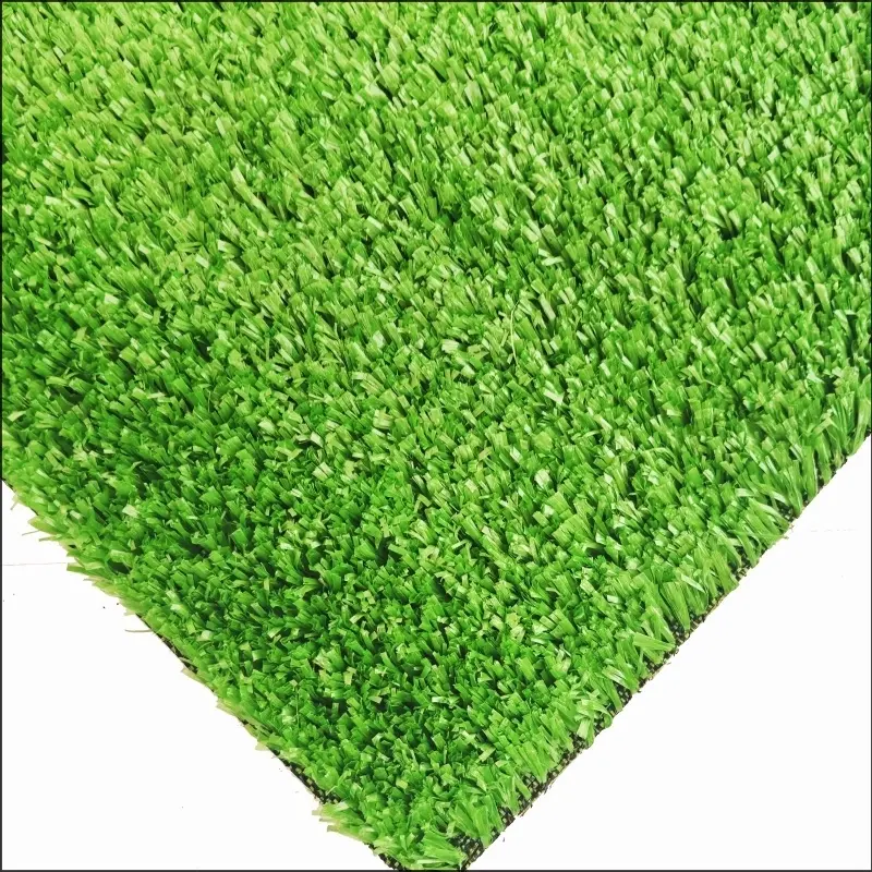 See More About Rumput Karpet CG15