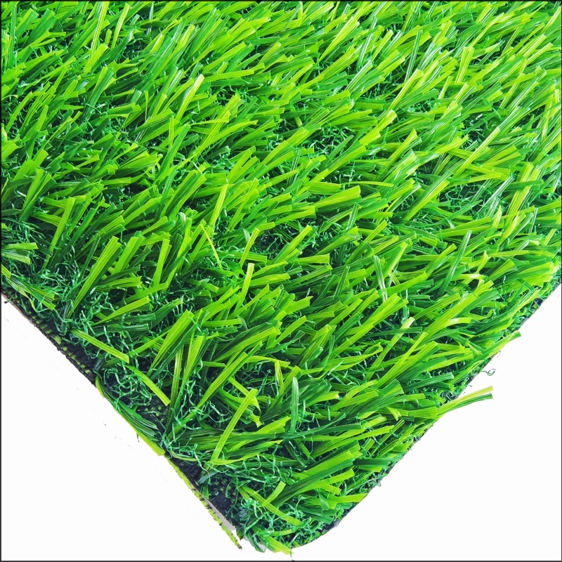 Rumput bermain (pg30)-id