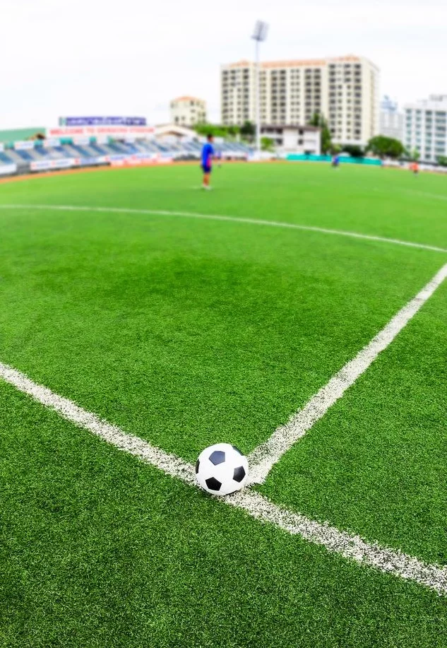 Rumput sepak bola
